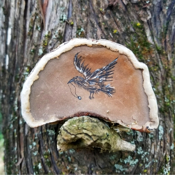 About Inspiration Boreal - Picture 16 of 16